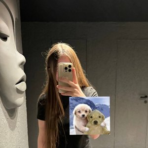 Iceicell Photo #32