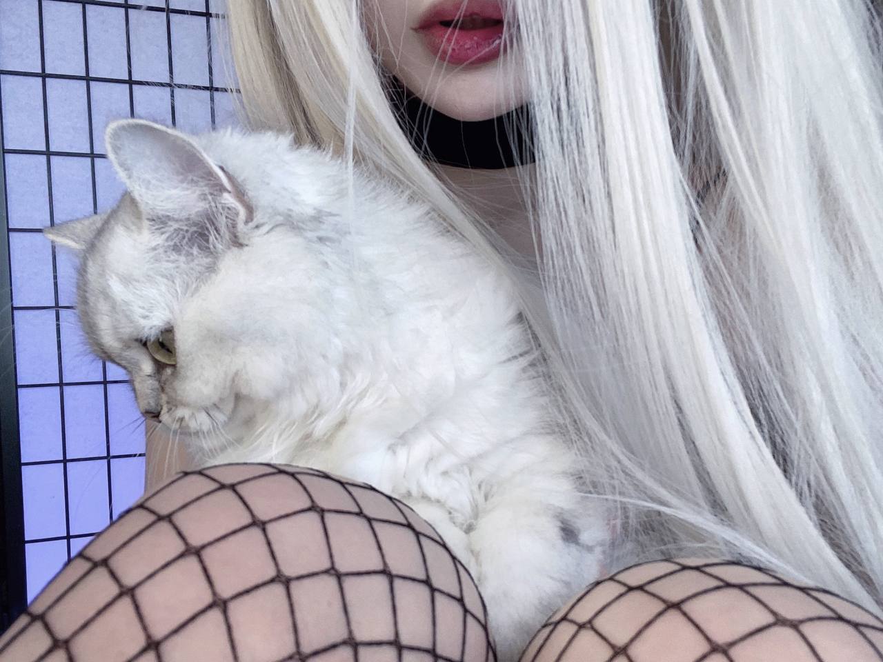 Морфилина Photo #100